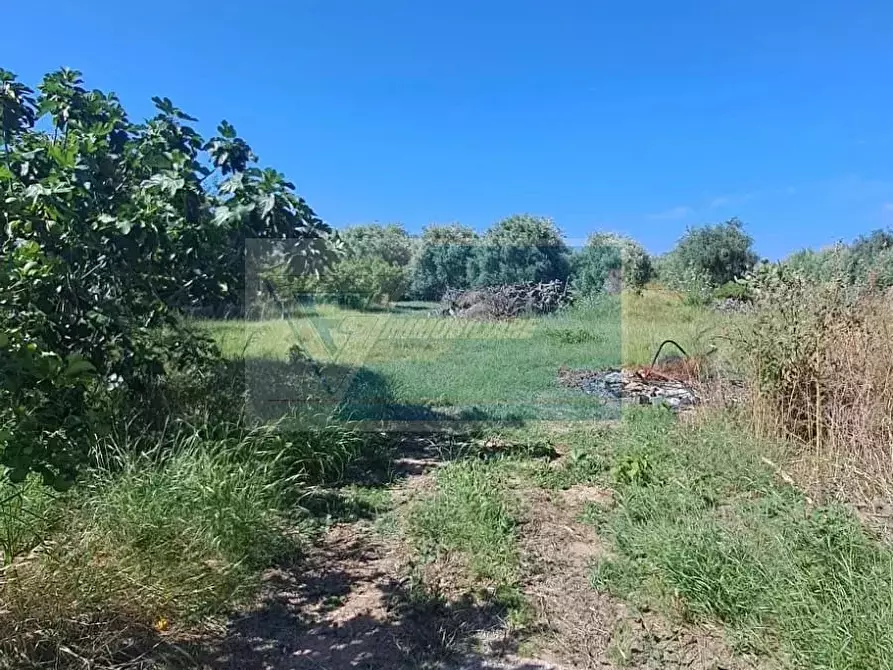 Immagine 17 di Terreno edificabile in vendita  in contrada muraglia di miele floridia a Siracusa