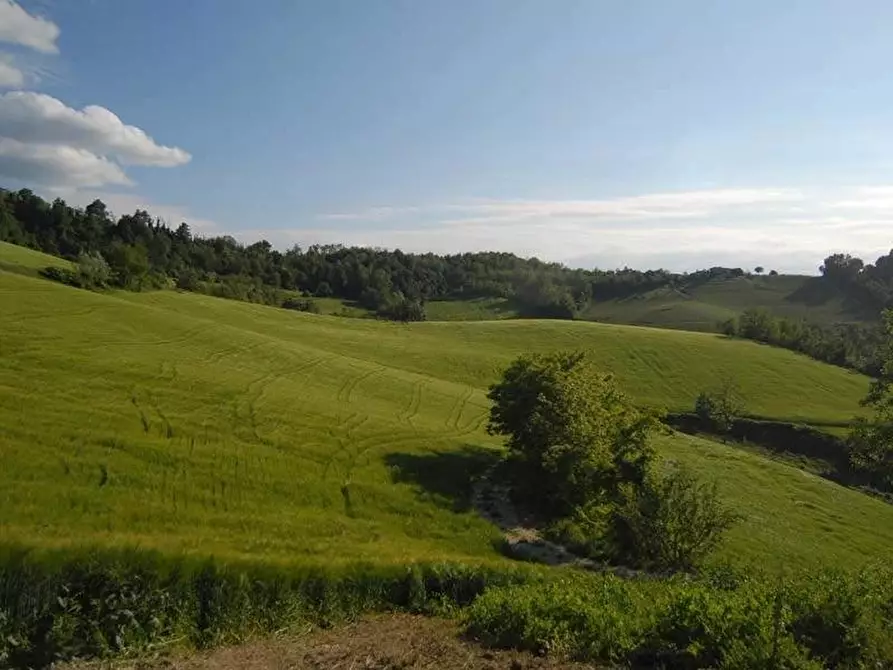 Immagine 13 di Terreno edificabile in vendita  a Dogliani