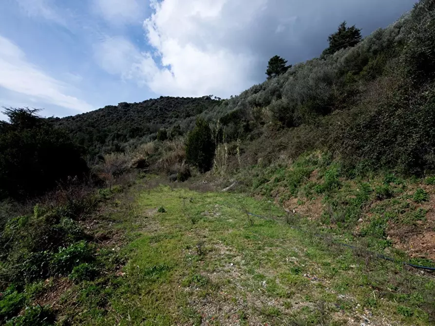 Immagine 52 di Terreno edificabile in vendita  in Via Nansola a Avegno