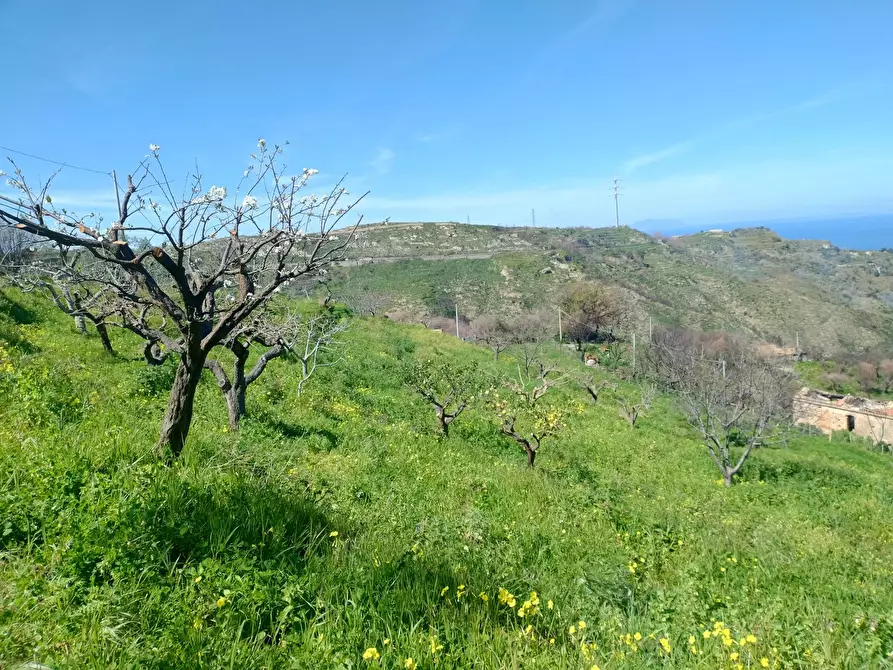 Immagine 14 di Terreno in vendita  in Contrada Bosco, roccavaldina, me a Condrò
