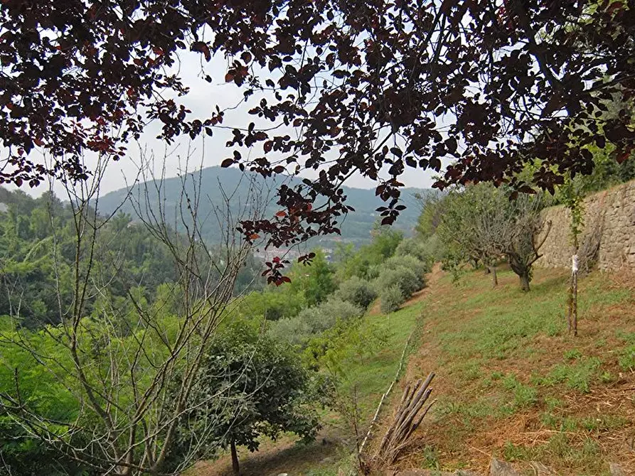 Immagine 14 di Terreno edificabile in vendita  a Bergolo
