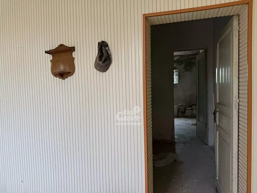 Immagine 4 di Terreno edificabile in vendita  in Contrada Bosco a Marsala