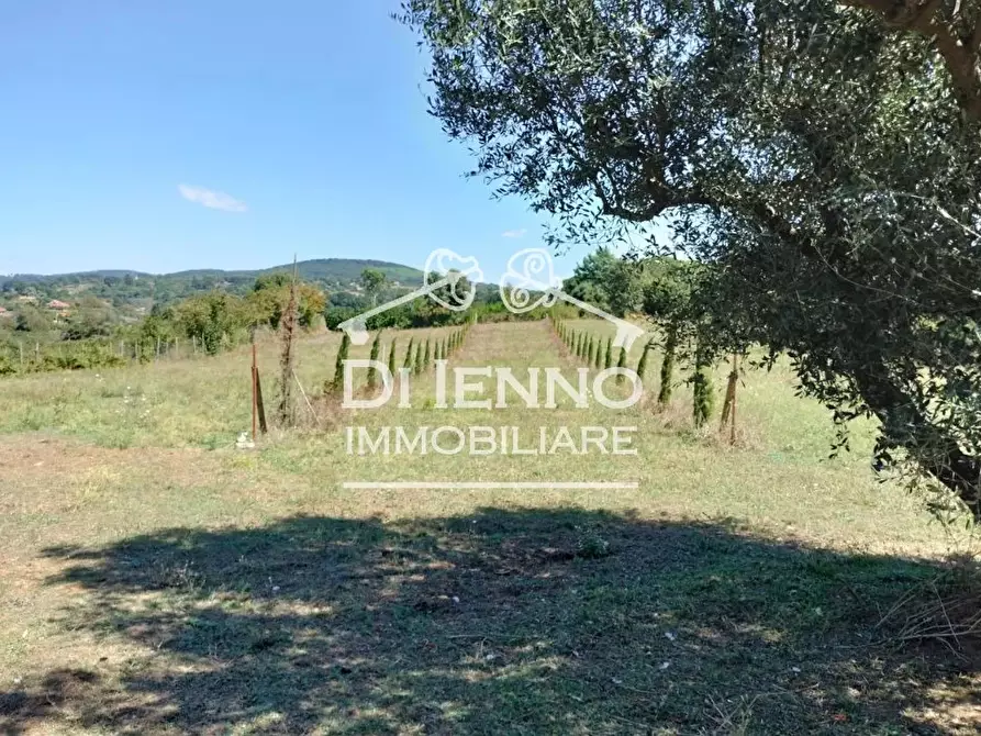 Immagine 72 di Terreno edificabile in vendita  in Strada Valle del Dragone a Arlena Di Castro