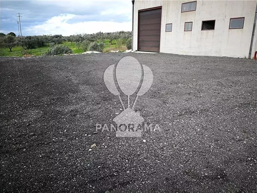 Immagine 10 di Casa bifamiliare in affitto  in 3 Cda Fico a Alcamo