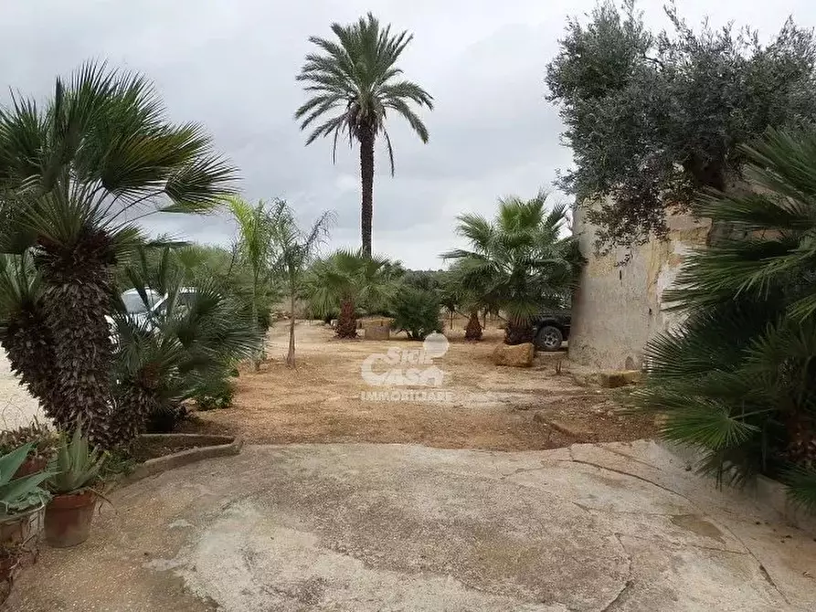 Immagine 3 di Terreno edificabile in affitto  a Marsala