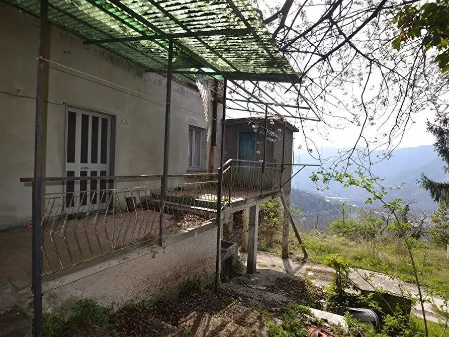 Immagine 5 di Terreno edificabile in vendita  a Avegno