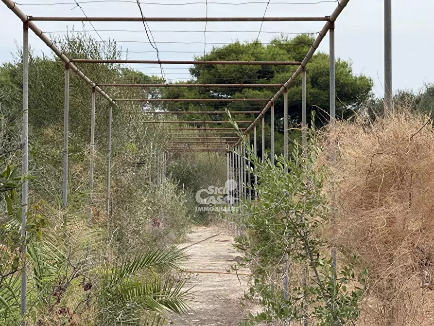 Immagine 12 di Terreno edificabile in vendita  in Contrada Bosco a Marsala