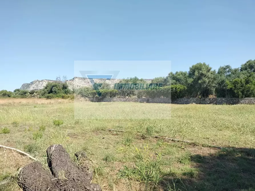 Immagine 16 di Terreno edificabile in vendita  in Traversa Vallone Carancino a Siracusa