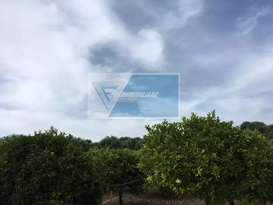 Immagine 6 di Terreno in vendita  a Siracusa