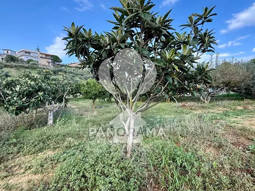 Immagine 3 di Terreno in vendita  in Contrada Timpi Rossi a Alcamo