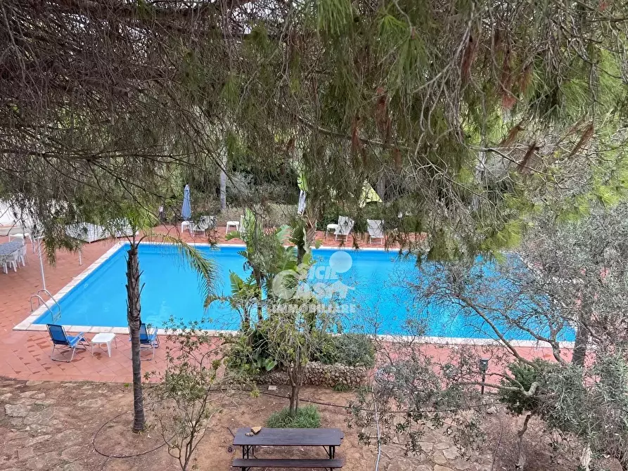 Immagine 5 di Terreno edificabile in vendita  a Marsala