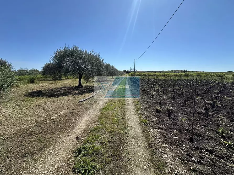 Immagine 17 di Terreno in vendita  a Noto