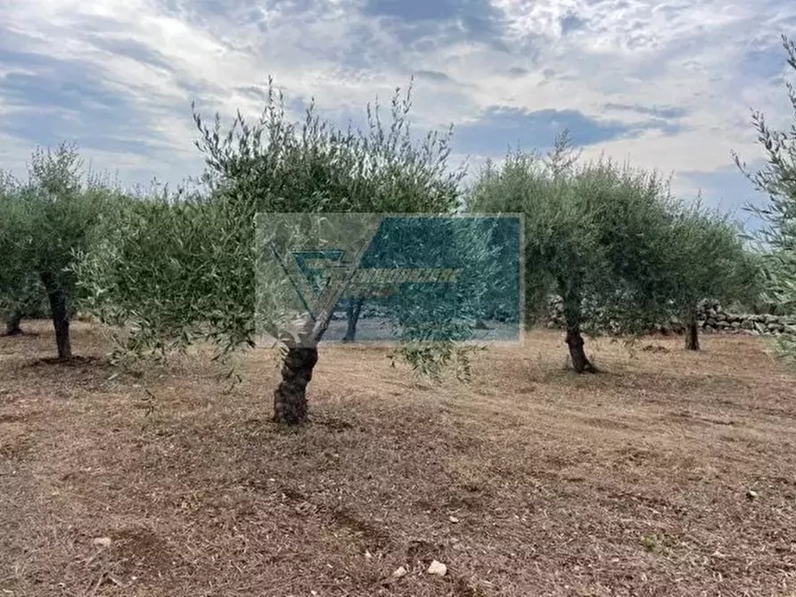 Immagine 3 di Terreno in vendita  in Contrada Trigona a Buccheri