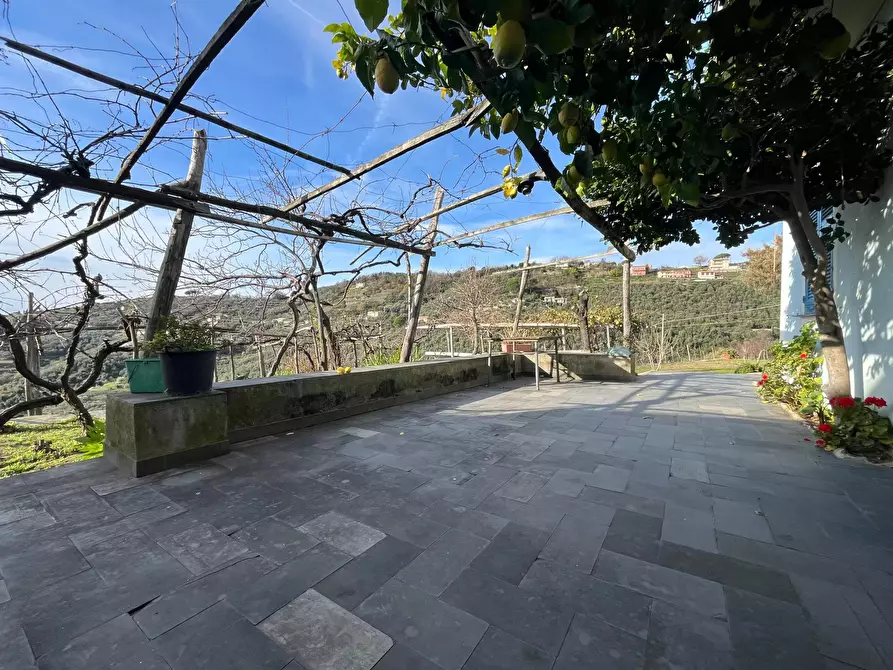 Immagine 5 di Terreno edificabile in vendita  in Sorlana a Lavagna