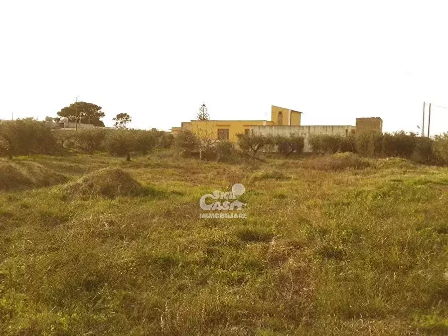 Immagine 17 di Terreno in vendita  a Marsala