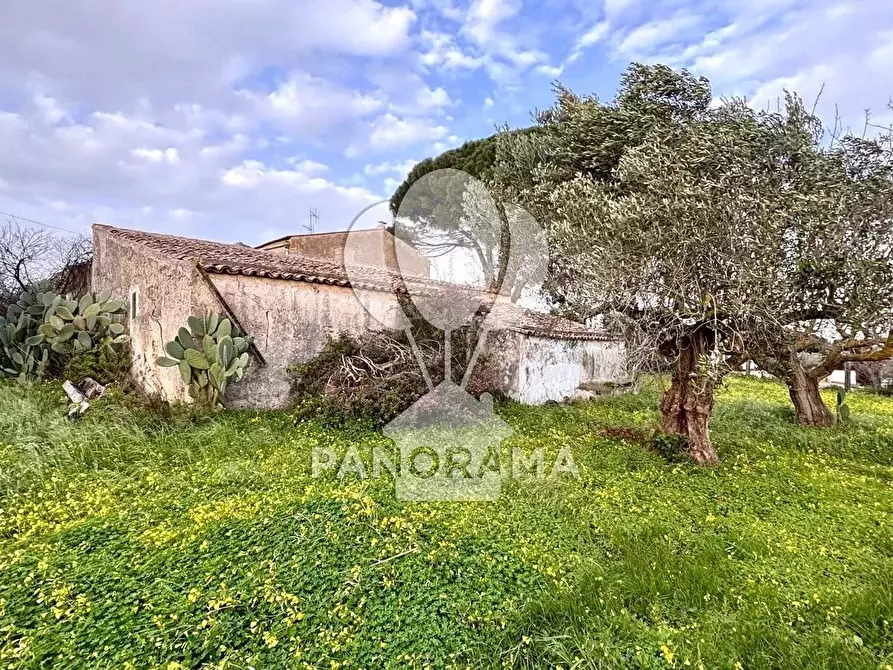 Immagine 16 di Terreno edificabile in vendita  in Contrada Bosco Falconeria SNC, 90047 Partinico PA, Italy a Partinico