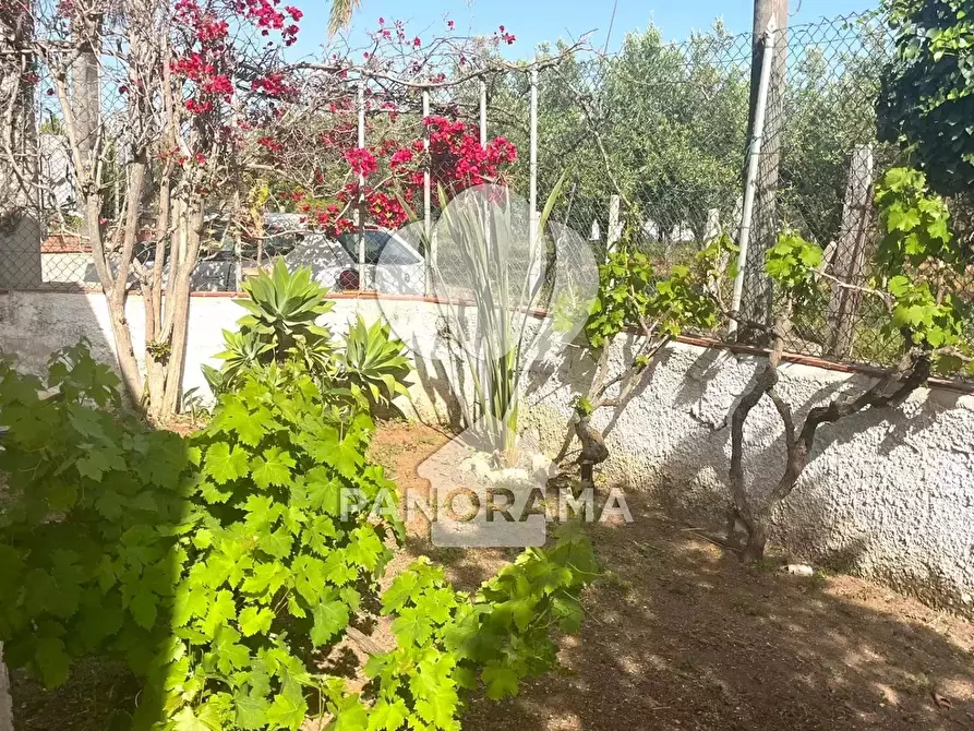 Immagine 17 di Terreno edificabile in vendita  in Piano di Tresca snc a Balestrate