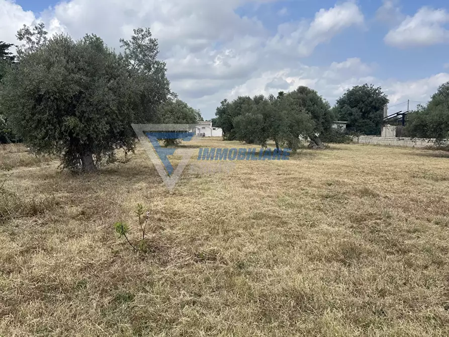 Immagine 36 di Terreno edificabile in vendita  in Traversa Masseria Gargallo a Siracusa