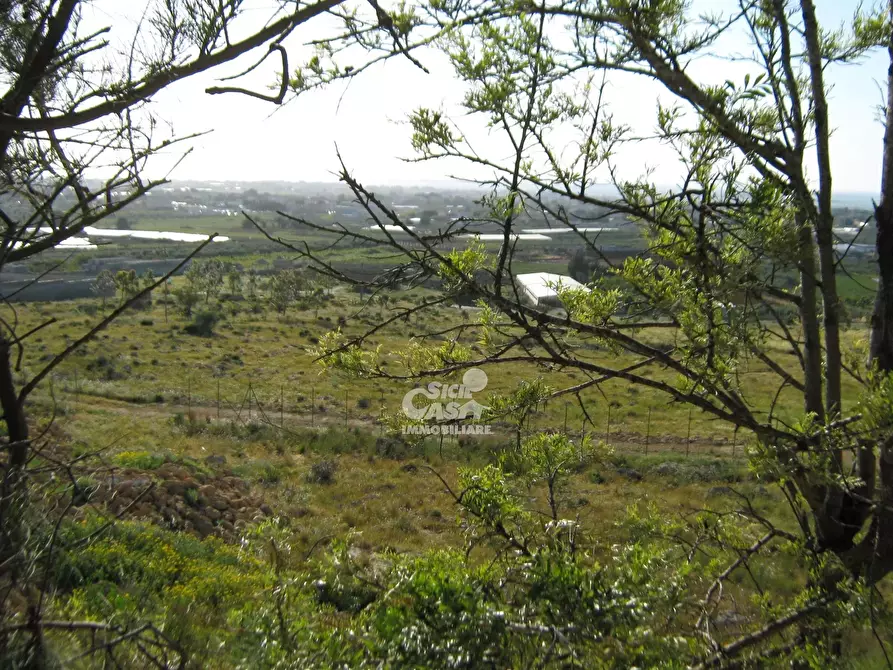 Immagine 4 di Terreno in vendita  a Marsala