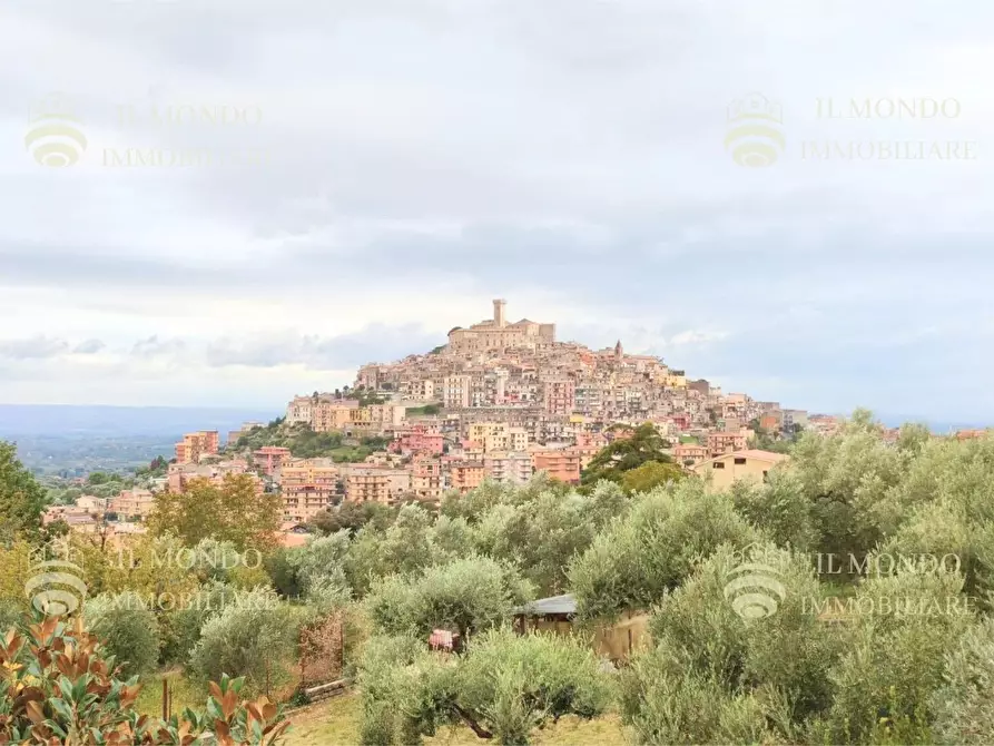 Immagine 36 di Casa trifamiliare in vendita  a Palombara Sabina