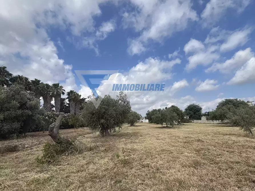Immagine 41 di Terreno edificabile in vendita  in Traversa Masseria Gargallo a Siracusa