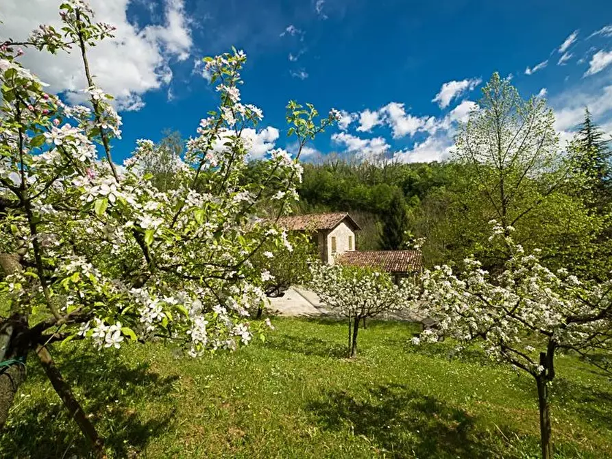 Immagine 21 di Terreno edificabile in vendita  a Refrontolo