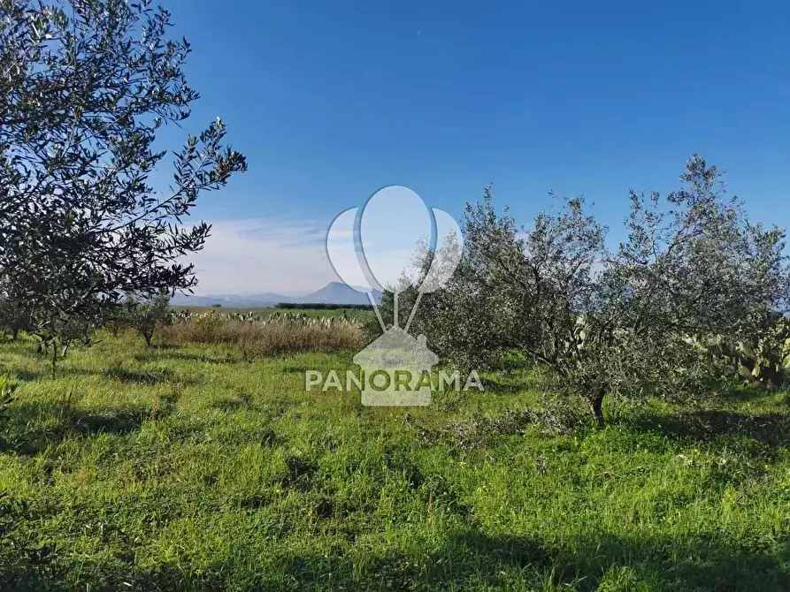 Immagine 8 di Terreno in vendita  a Partinico