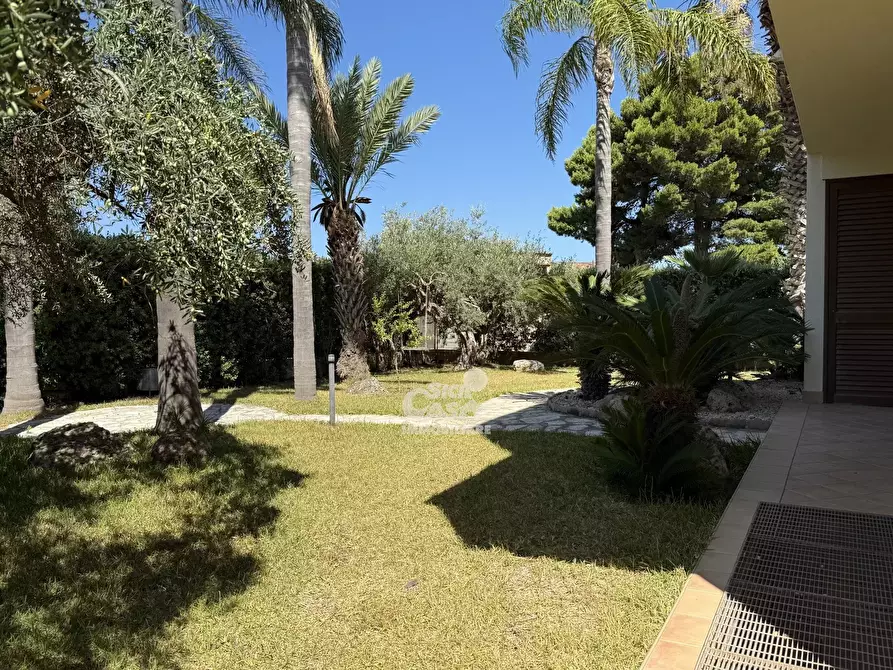 Immagine 2 di Terreno edificabile in vendita  a Marsala