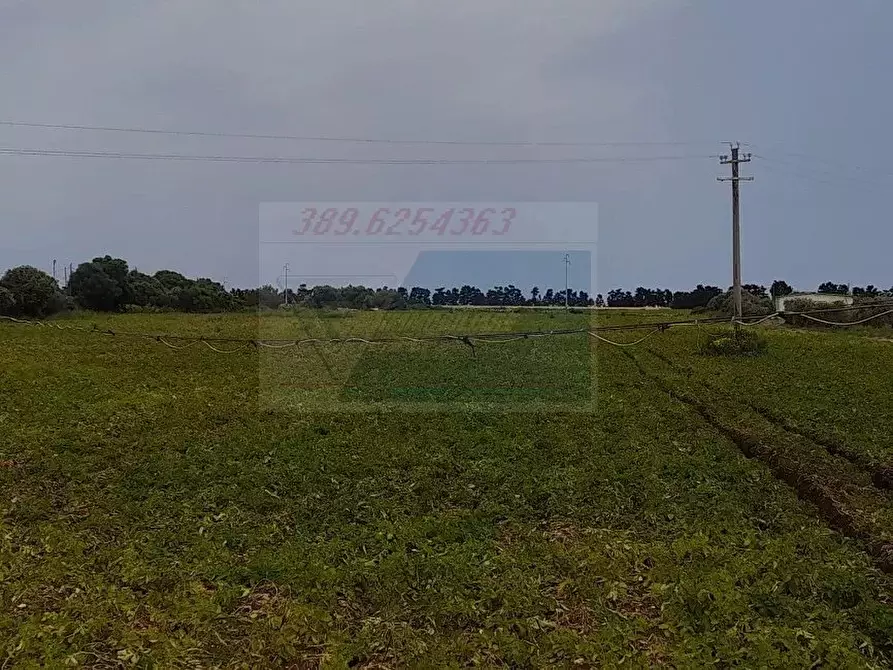 Immagine 3 di Terreno in vendita  in Via dell'Opale a Siracusa