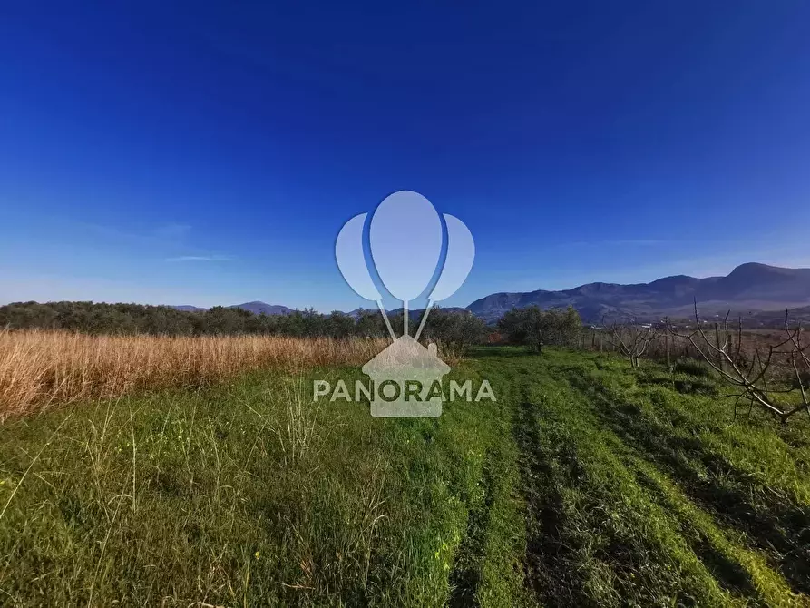 Immagine 2 di Terreno in vendita  a Partinico