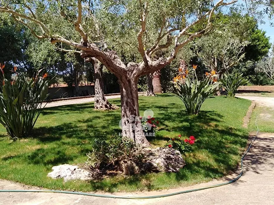Immagine 7 di Terreno edificabile in vendita  a Marsala