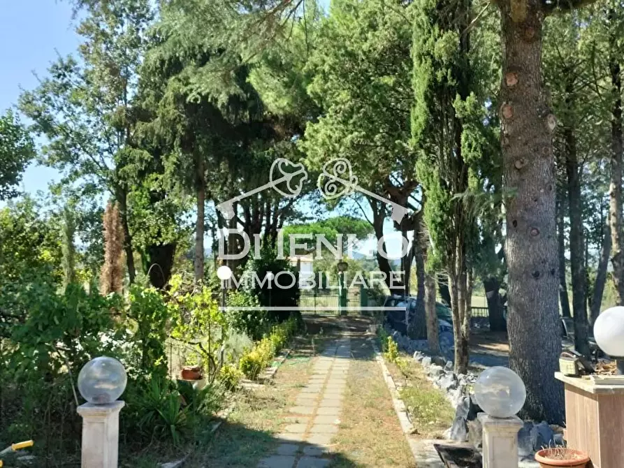 Immagine 65 di Terreno edificabile in vendita  in Strada Valle del Dragone a Arlena Di Castro