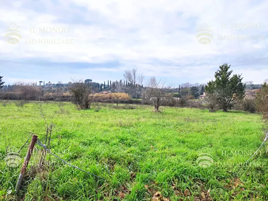 Immagine 3 di Terreno in vendita  in Località Albanetta, snc. a Palombara Sabina