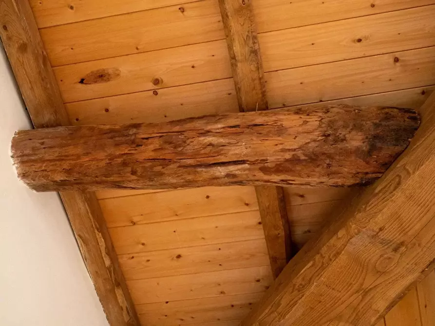 Immagine 56 di Terreno edificabile in vendita  in Via Nansola a Avegno