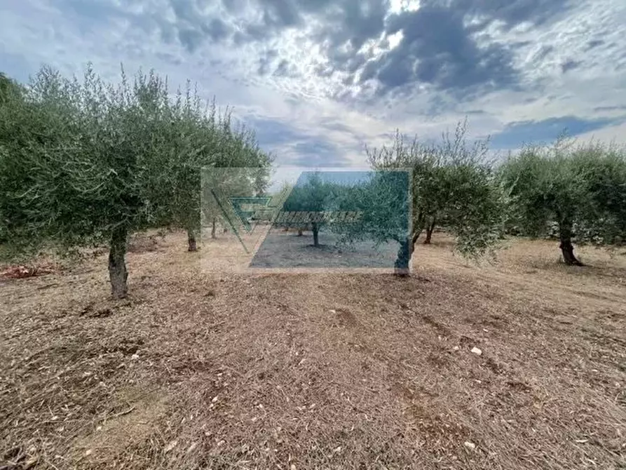 Immagine 4 di Terreno in vendita  in Contrada Trigona a Buccheri