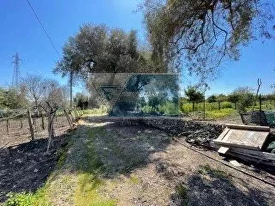 Immagine 15 di Terreno edificabile in vendita  a Siracusa