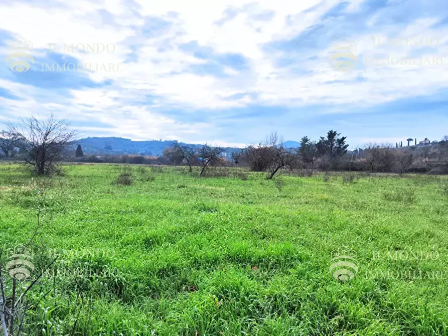 Immagine 2 di Terreno in vendita  in Località Albanetta, snc. a Palombara Sabina