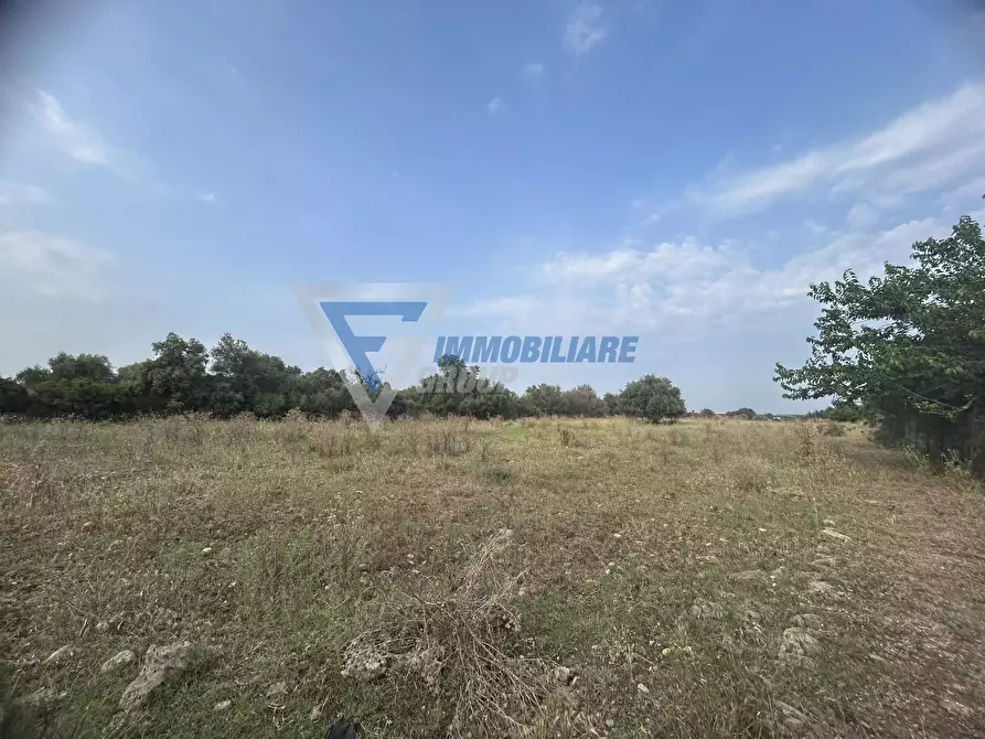 Immagine 2 di Terreno in vendita  in Traversa Masseria Gargallo a Siracusa