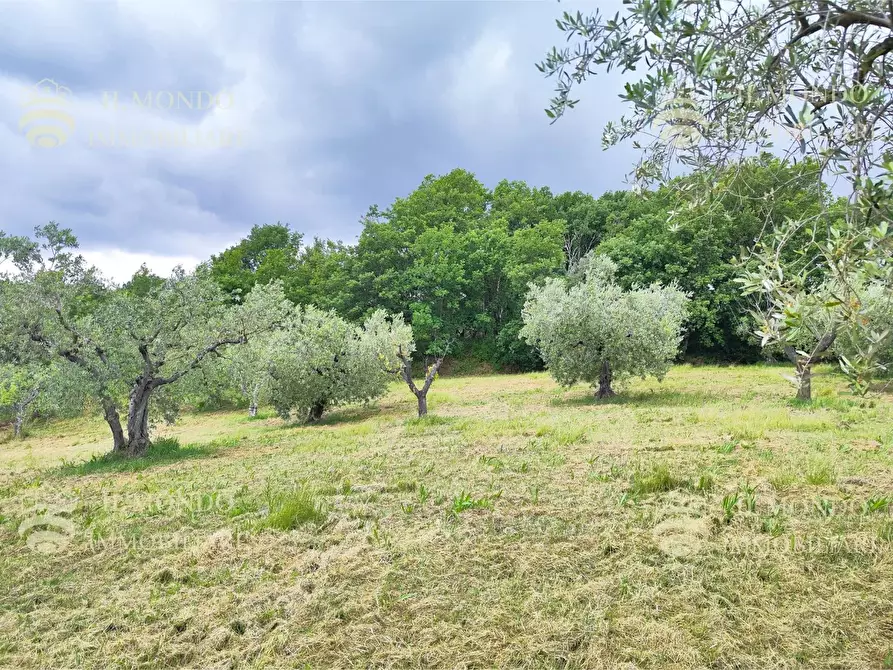 Immagine 6 di Casa bifamiliare in vendita  in Strada di Colle Fagiano a Palombara Sabina