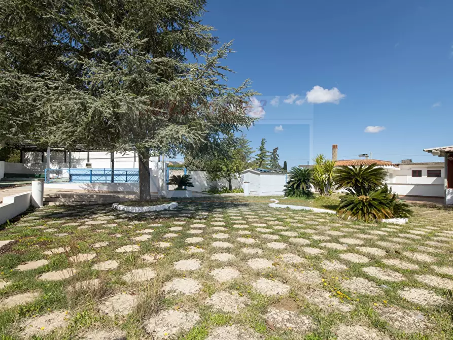 Immagine 9 di Casa trifamiliare in vendita  in Contrada Piano Milo a Noto