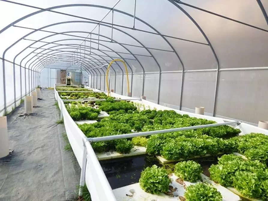 Immagine 16 di Attico in vendita  a Baldissero D'alba