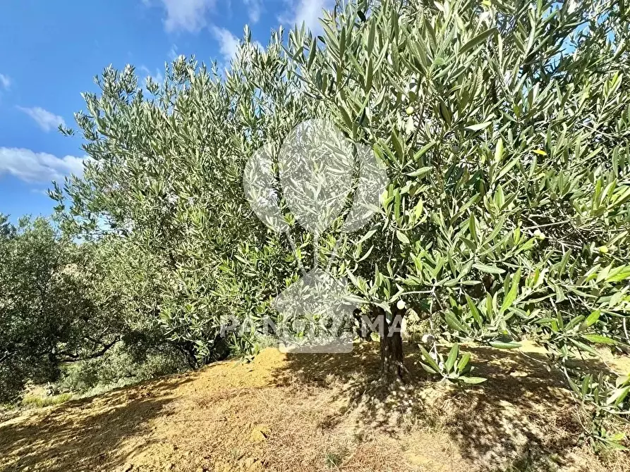 Immagine 34 di Terreno edificabile in vendita  in Contrada Casale a Alcamo