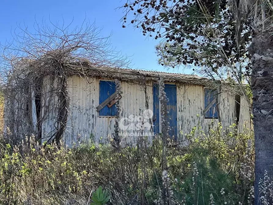 Immagine 2 di Terreno in vendita  a Marsala
