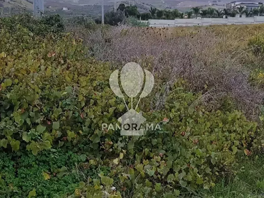 Immagine 6 di Terreno in vendita  in Rurale 14 a Partinico