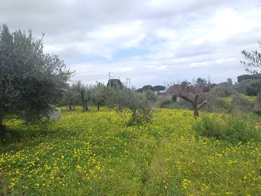 Immagine 1 di Terreno in vendita  in Contrada Malapezza a Messina