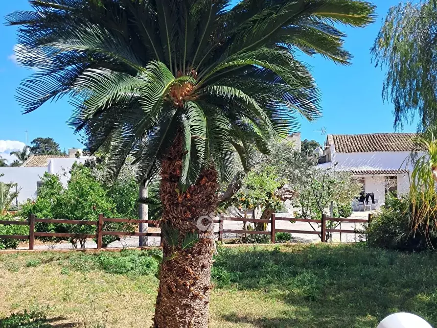 Immagine 20 di Terreno edificabile in affitto  a Marsala
