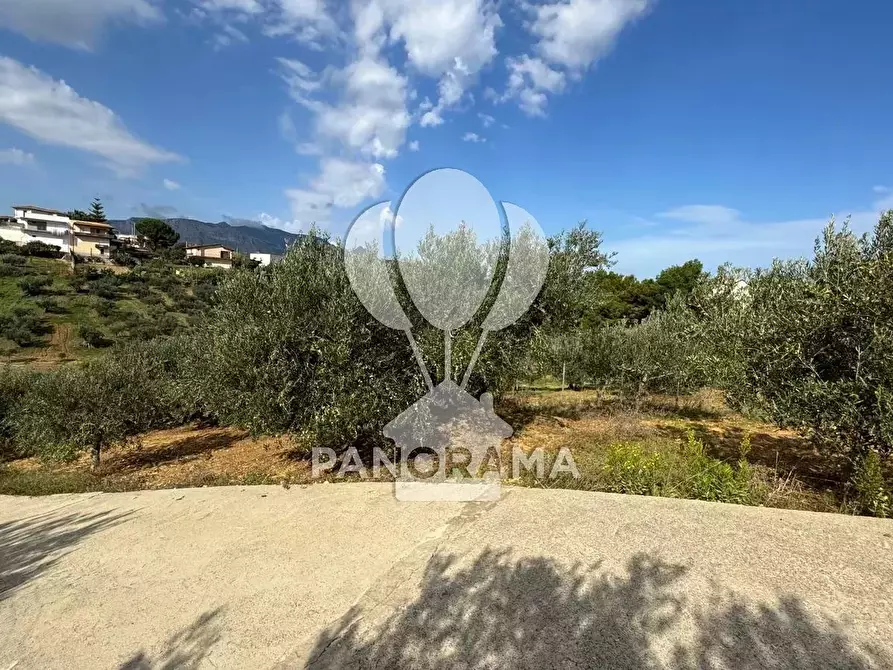 Immagine 15 di Terreno in vendita  in Contrada Timpi Rossi a Alcamo