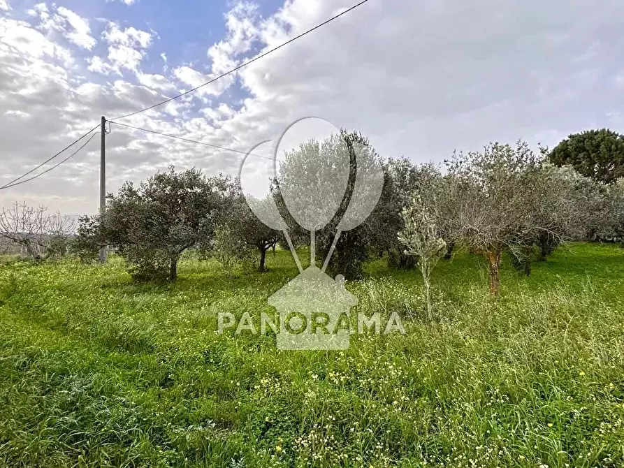 Immagine 14 di Terreno edificabile in vendita  in Contrada Bosco Falconeria SNC, 90047 Partinico PA, Italy a Partinico