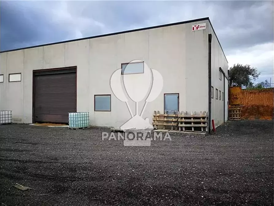 Immagine 13 di Casa bifamiliare in affitto  in 3 Cda Fico a Alcamo