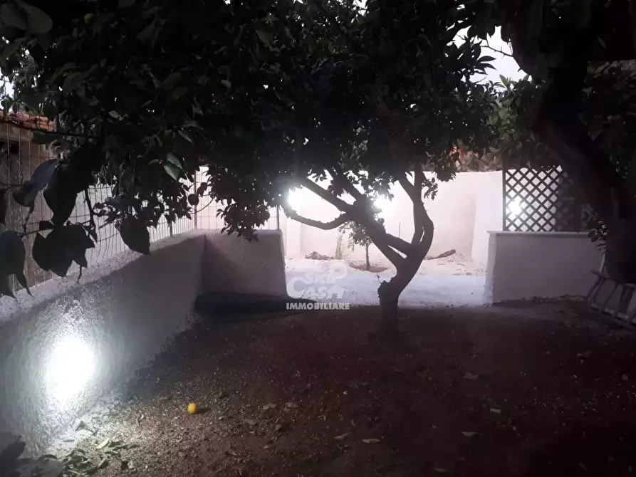 Immagine 49 di Monolocale in vendita  a Marsala